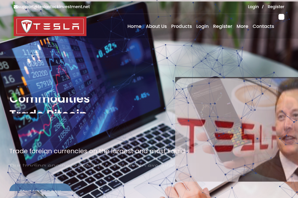 Screenshot of teslastockinvestment.net