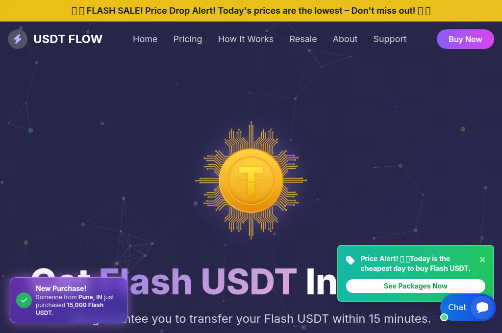 Screenshot of flashusdtseller.shop