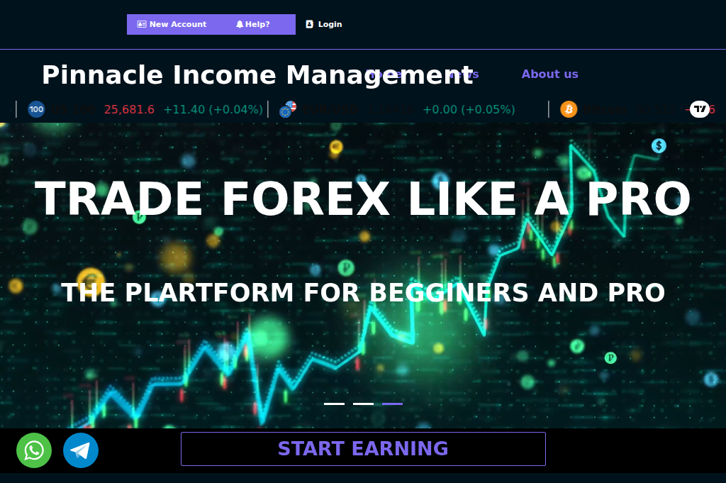 Screenshot of pinnacleincomemanagement.com