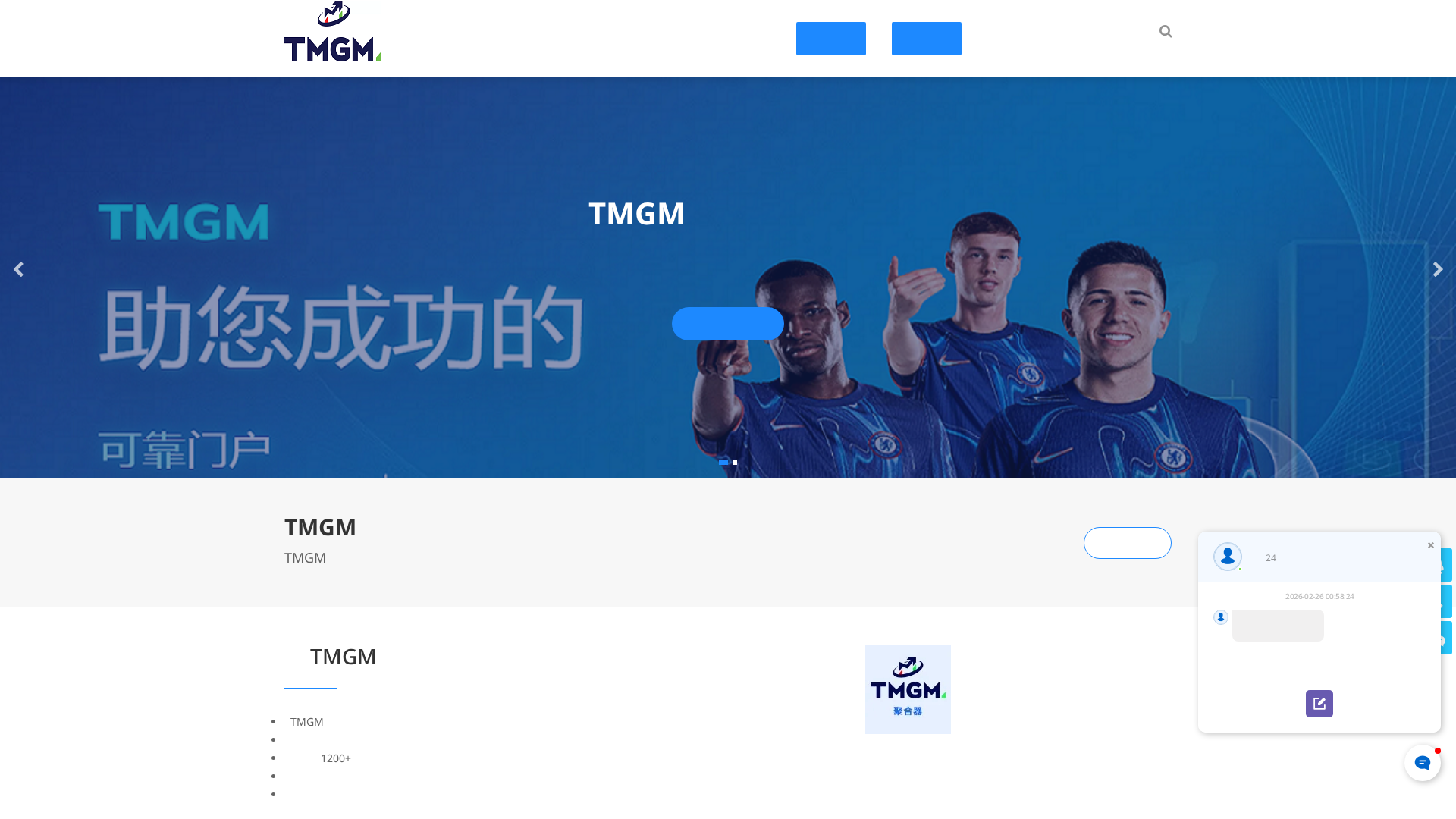 Screenshot of tmgmfx1.com