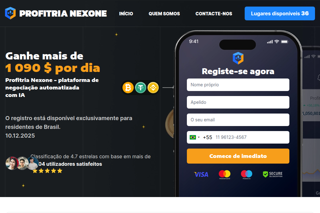 Screenshot of profitria-nexone.com