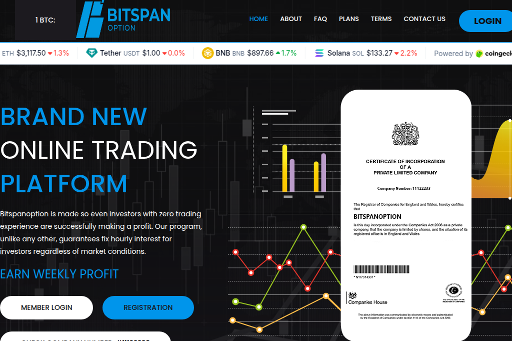 Screenshot of bitspanoption.com