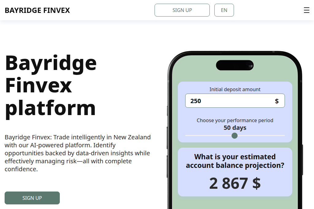 Screenshot of bayridge-finvex.com
