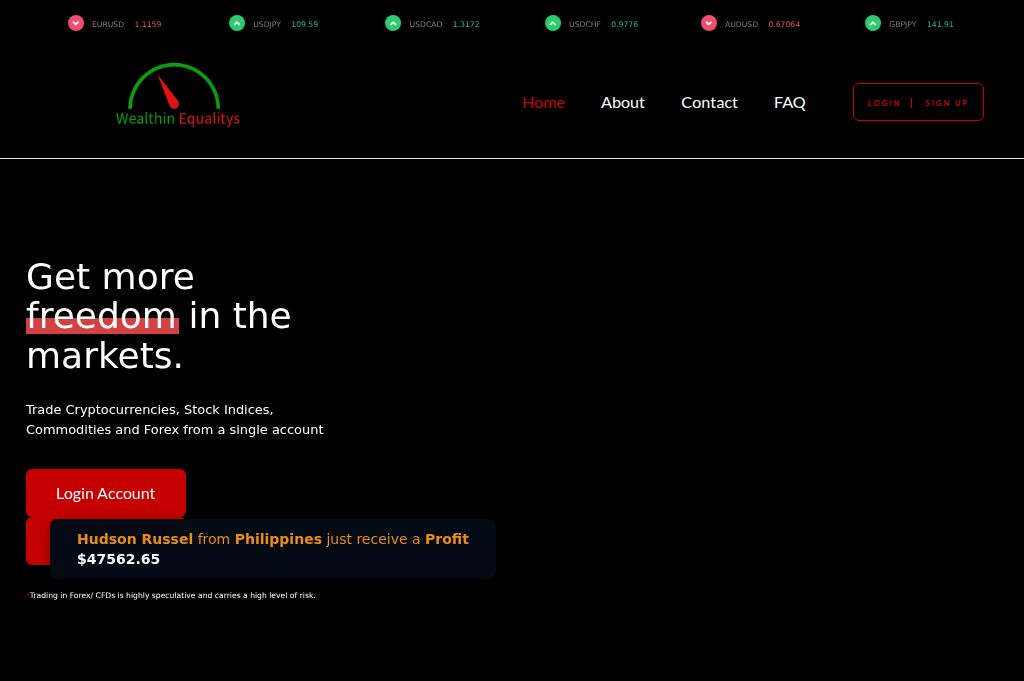 Screenshot of wealthinequalitys.top