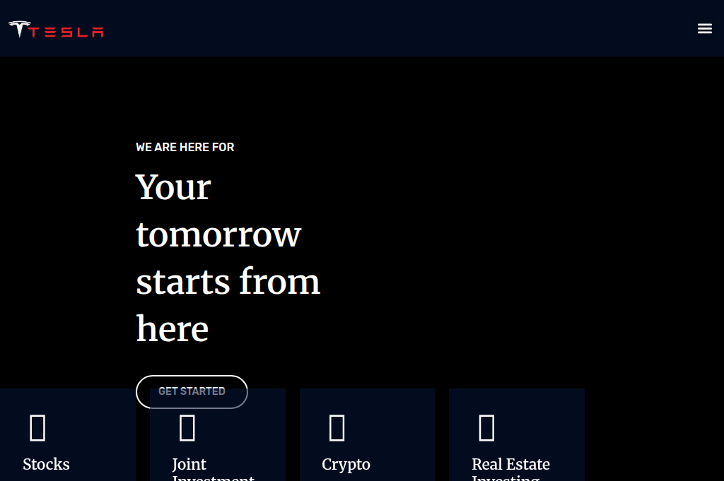 Screenshot of tslaprimeledger.com