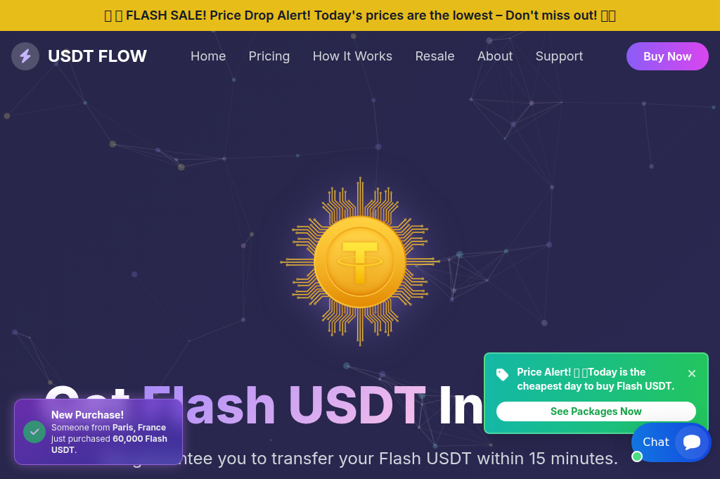 Screenshot of flashtrc20.store