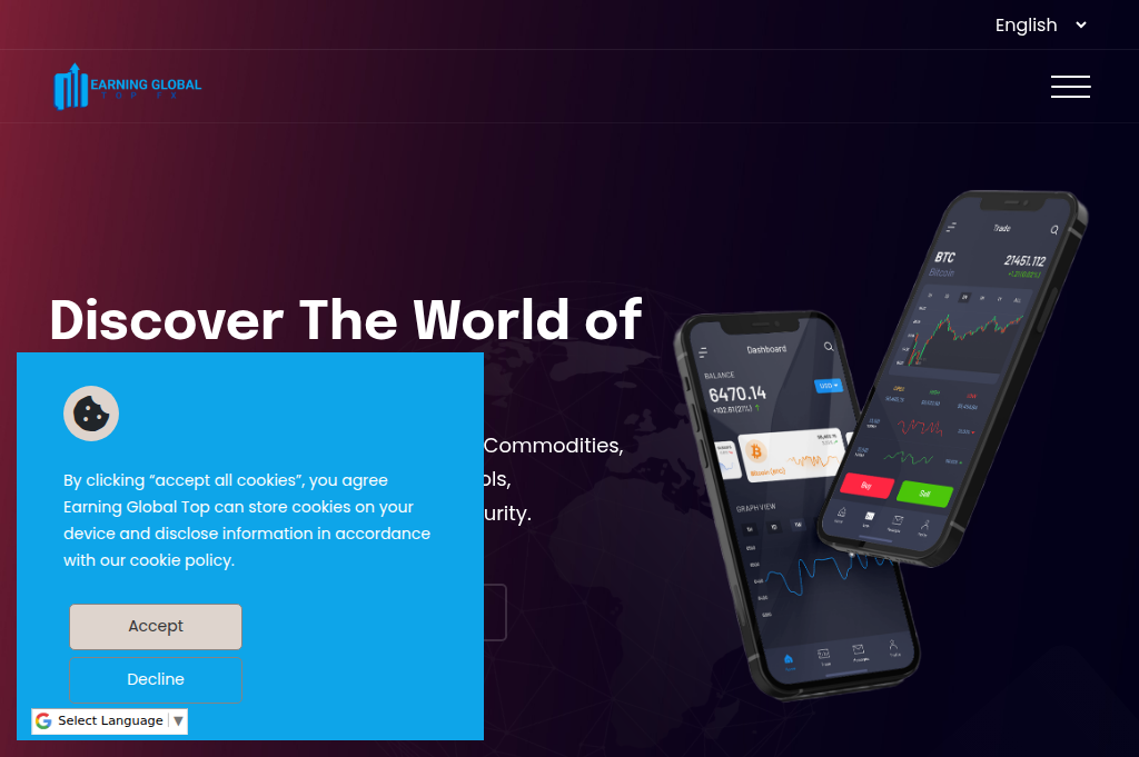 Screenshot of earningglobaltopf.com