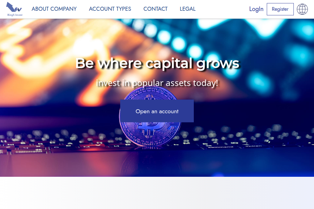 Screenshot of bingxinvestment.com