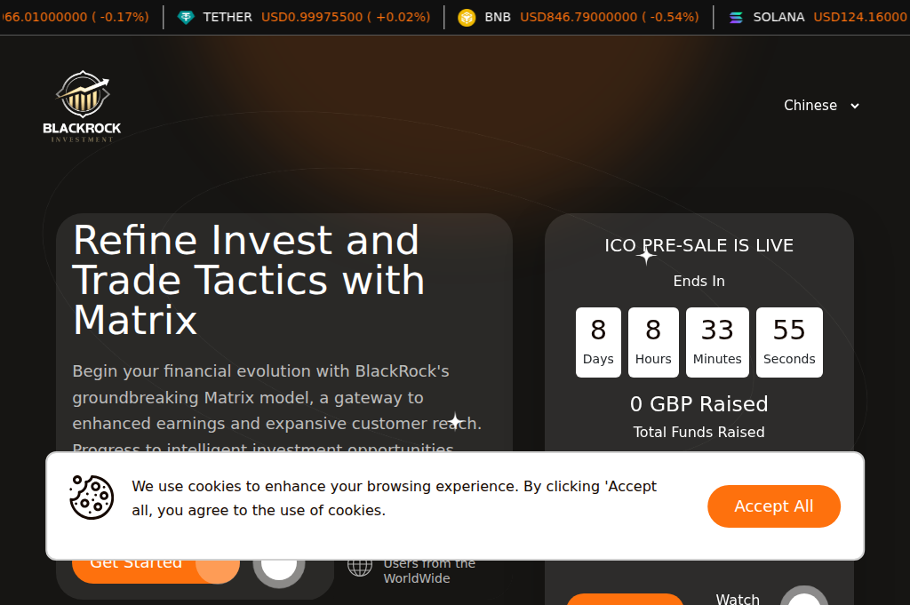 Screenshot of blackock.uk