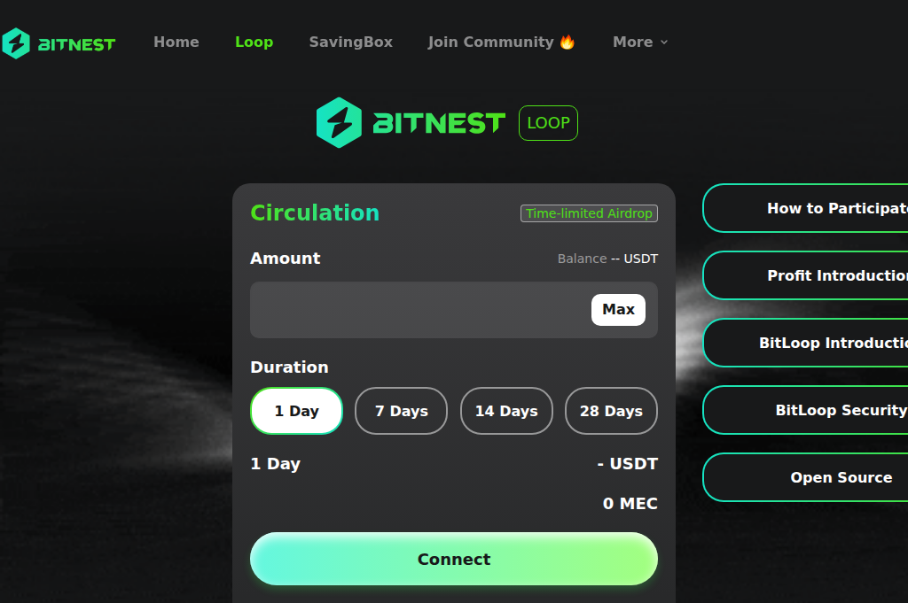 Screenshot of bitnestloop.site