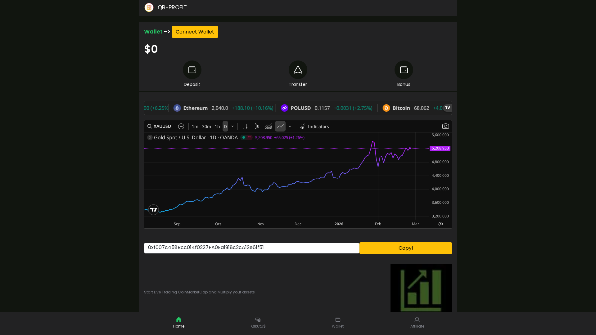 Screenshot of qrprofit.site