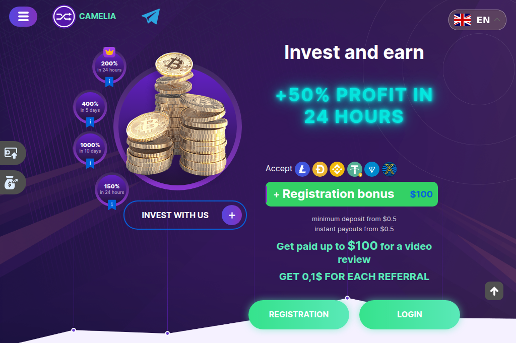 Screenshot of camelia.business