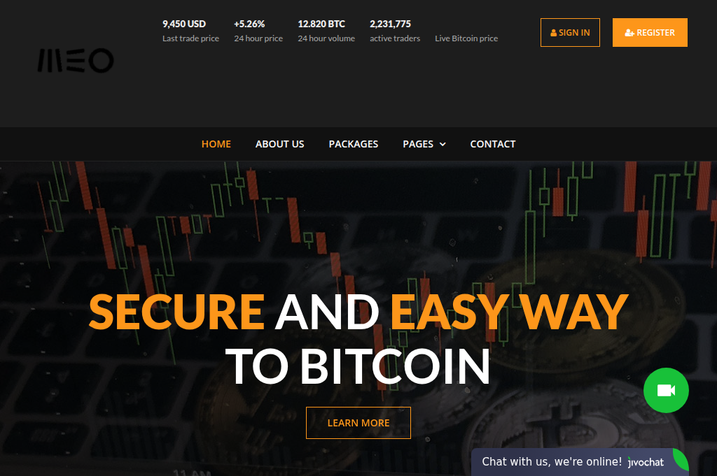 Screenshot of multipleecommerceoperations.com