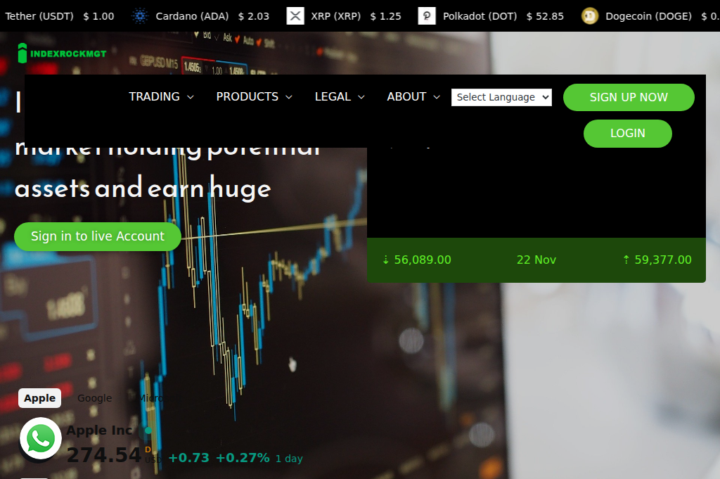 Screenshot of indexrockmgt.com