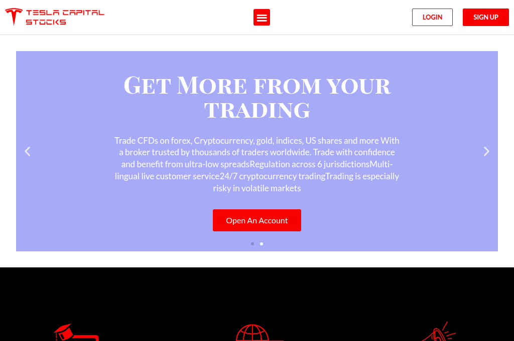 Screenshot of teslastockstrades.com