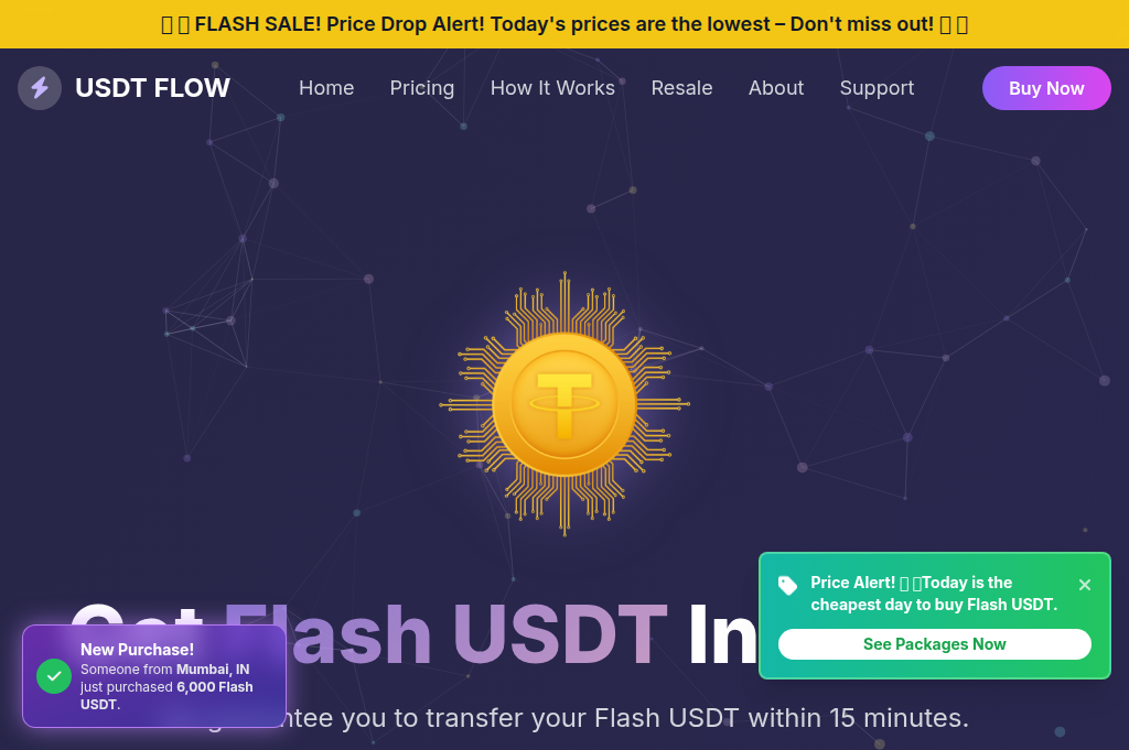 Screenshot of usdtflashseller.shop