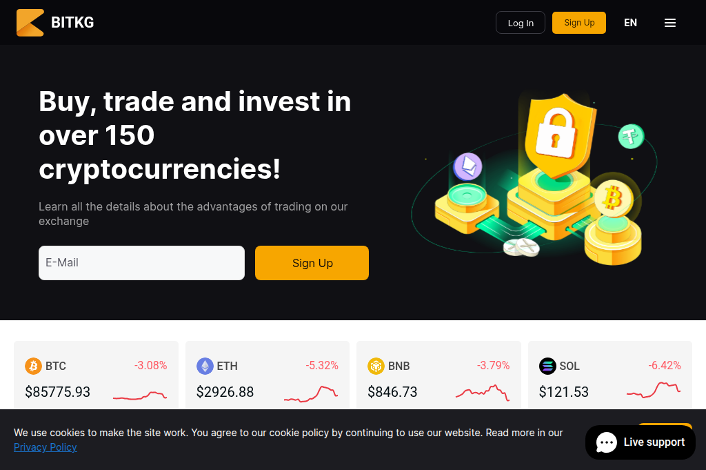 Screenshot of bitkg.top