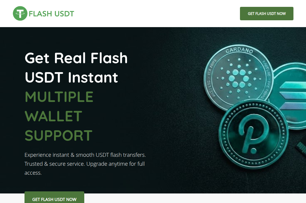 Screenshot of flasherin.shop