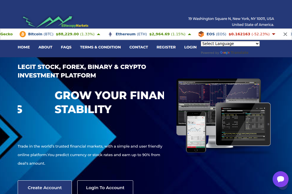 Screenshot of elitecopymarkets.top