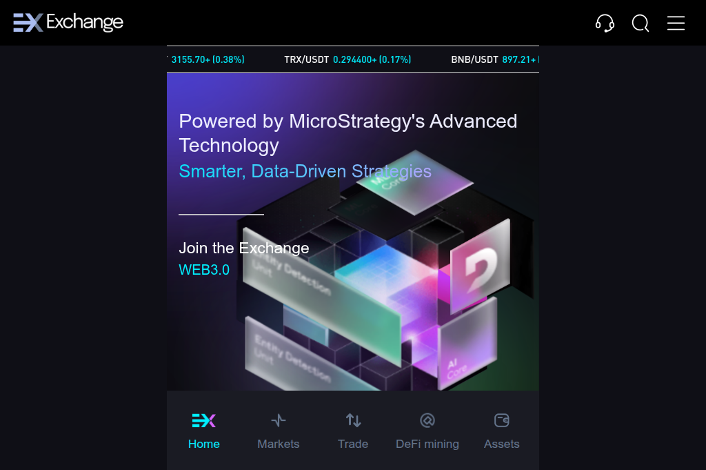 Screenshot of exchagms.vip