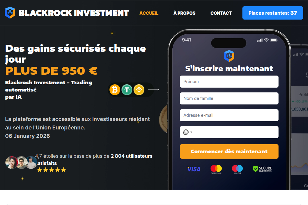 Screenshot of black-rock-investment.com