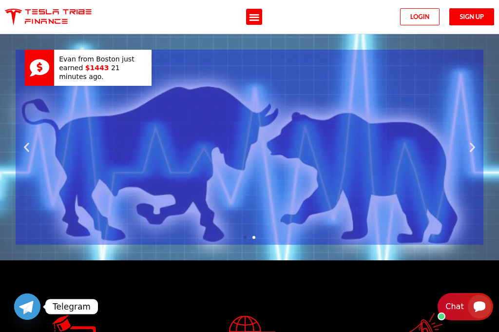 Screenshot of teslatribefinance.com