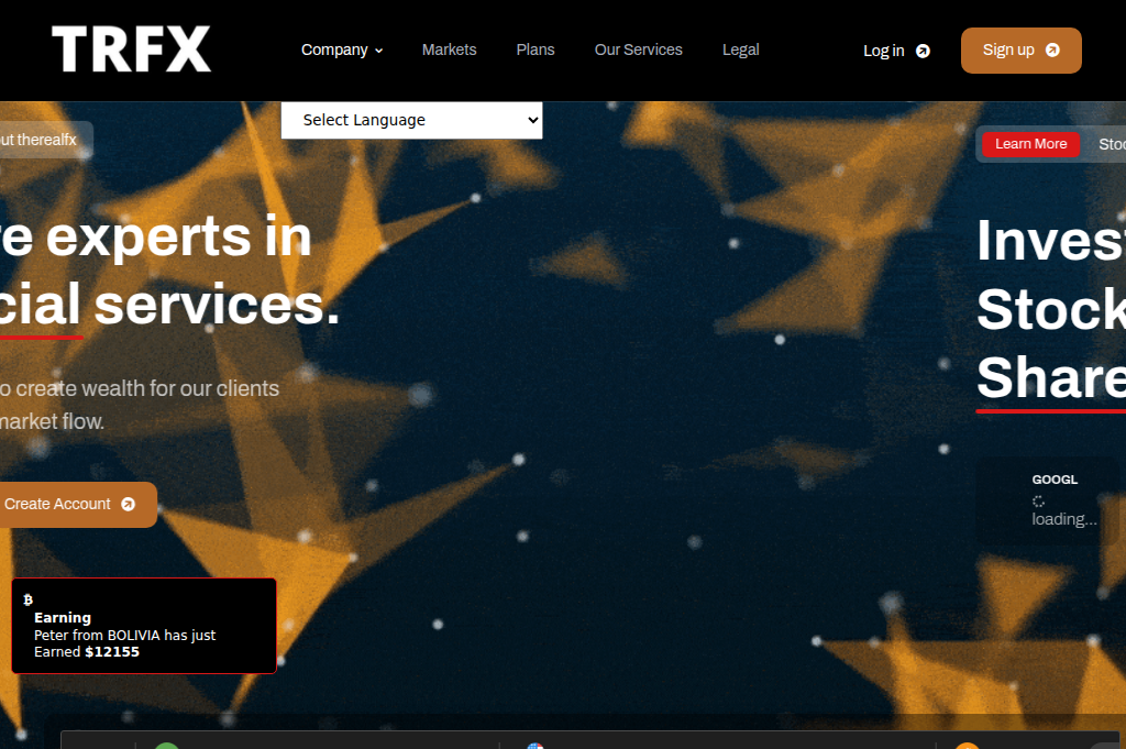 Screenshot of the-realfx.live