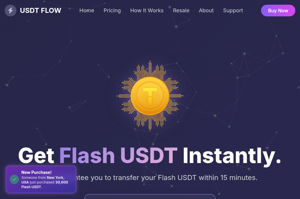 Screenshot of ultimateflashusdt.shop