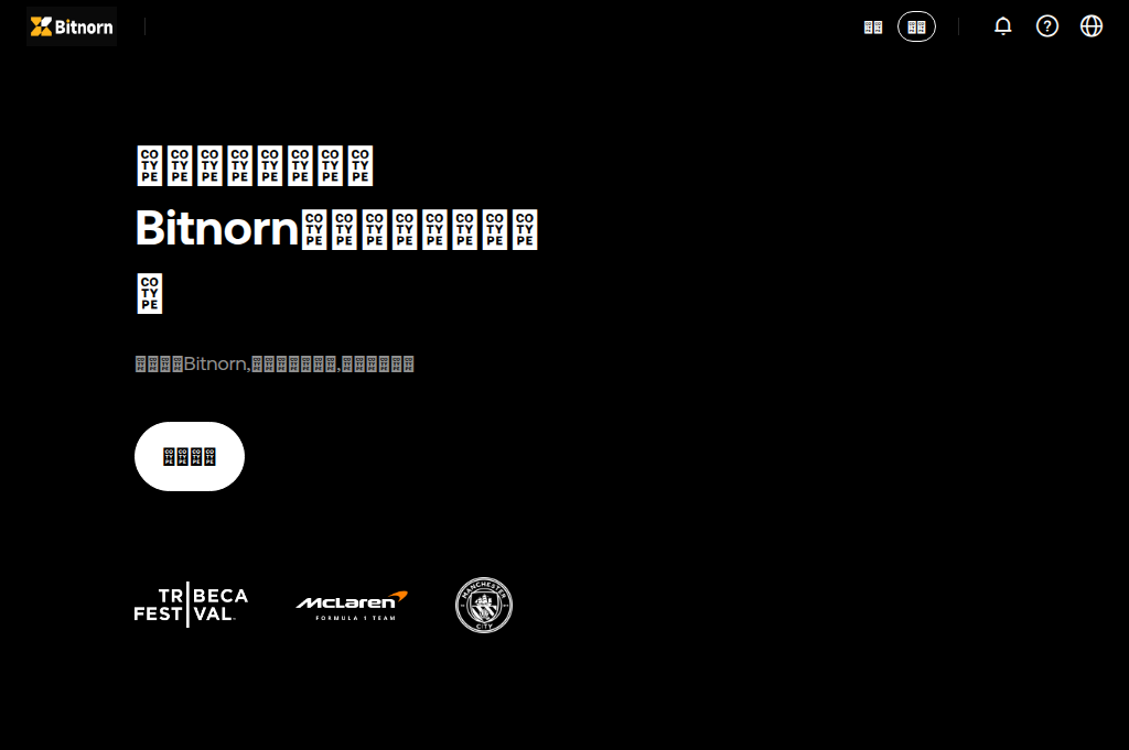 Screenshot of bitnorn.vip