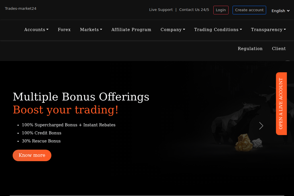 Screenshot of trades-market24.net