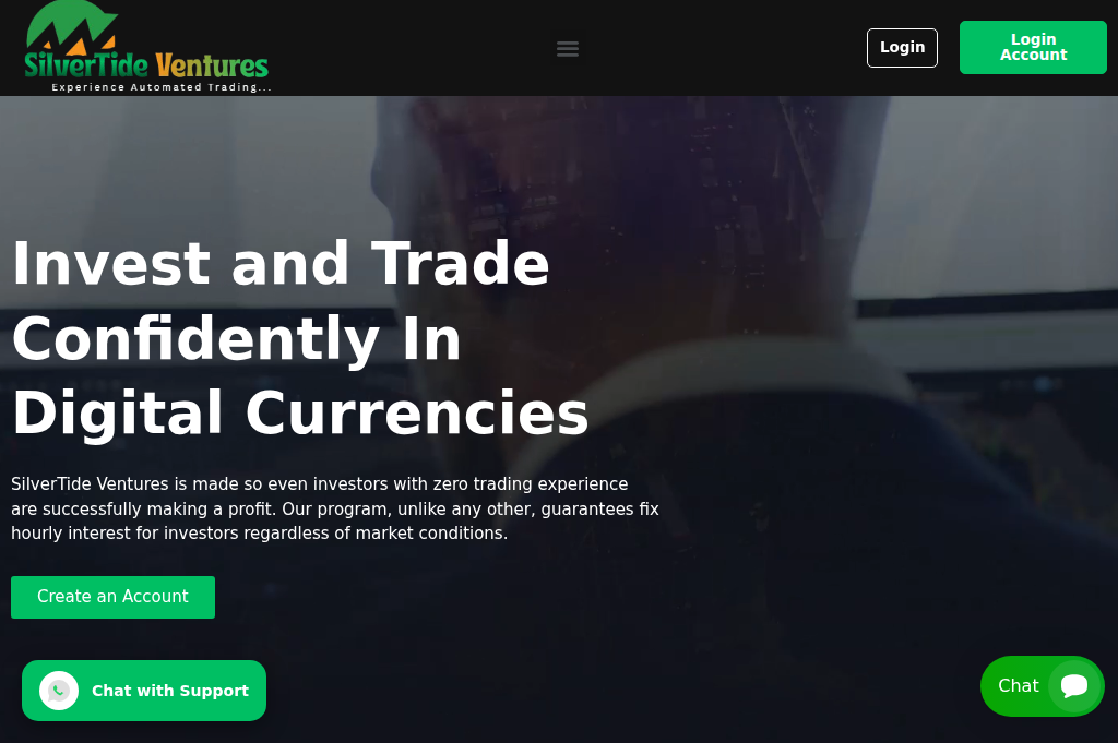 Screenshot of silvertideventures.pro