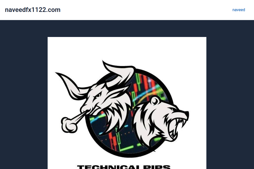 Screenshot of naveedfx1122.com