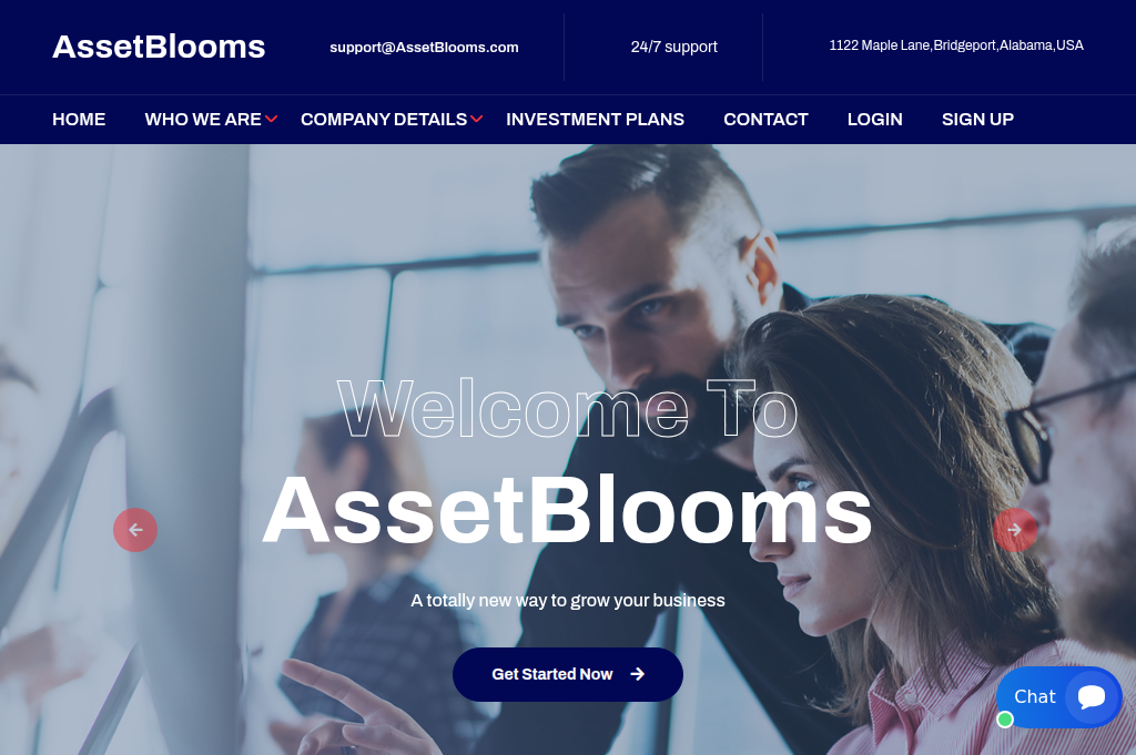 Screenshot of assetblooms.com