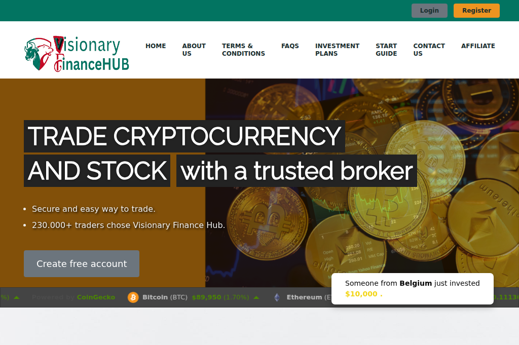 Screenshot of visionaryfinancehub.com