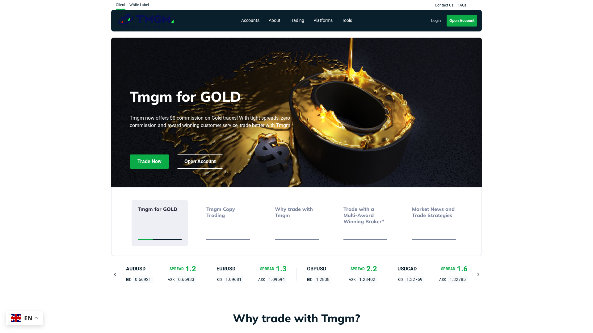 Screenshot of tmgminex.com