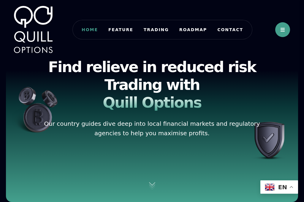 Screenshot of quilloptions.online