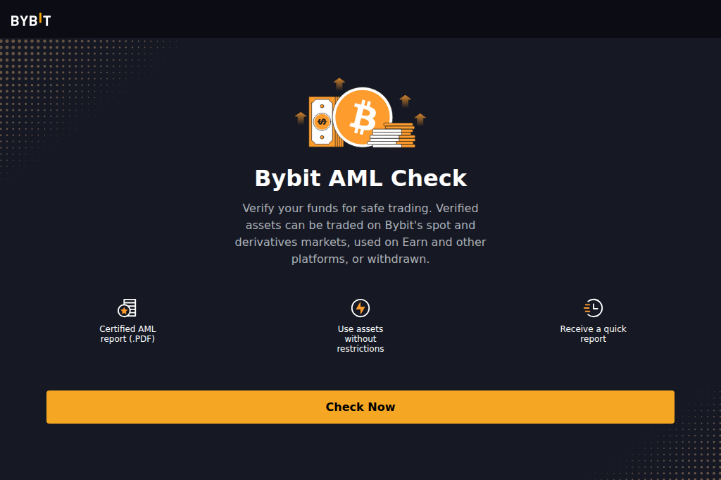 Screenshot of bybit-pure.click
