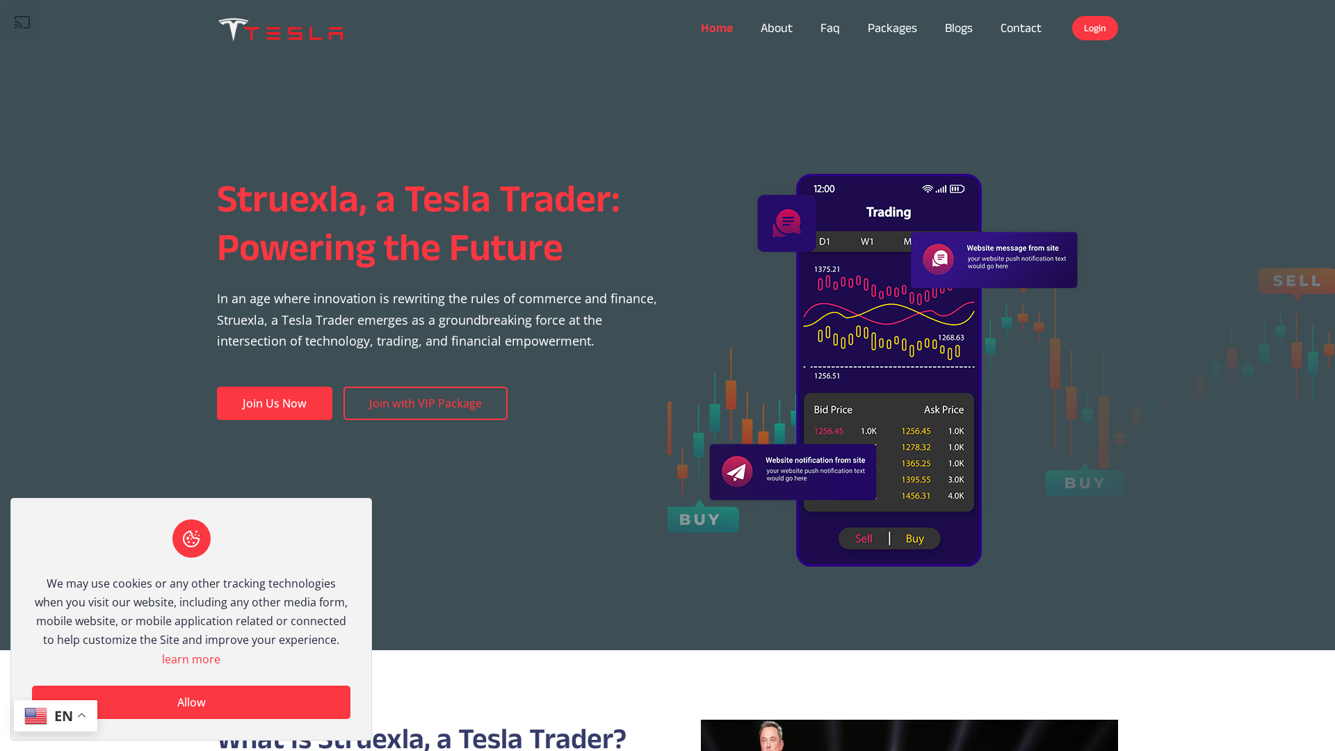 Screenshot of struexla.online