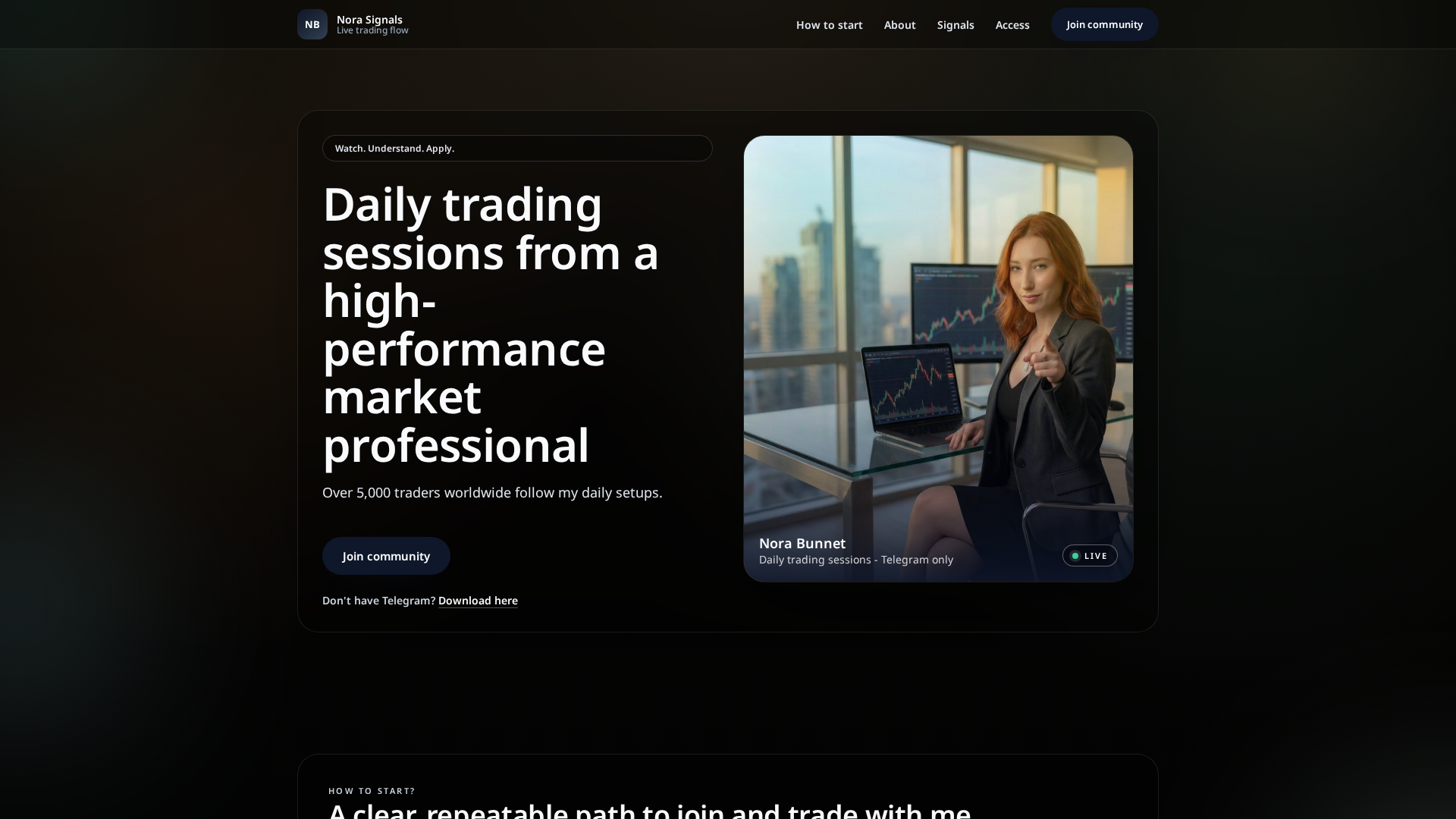 Screenshot of norabunnet.pro