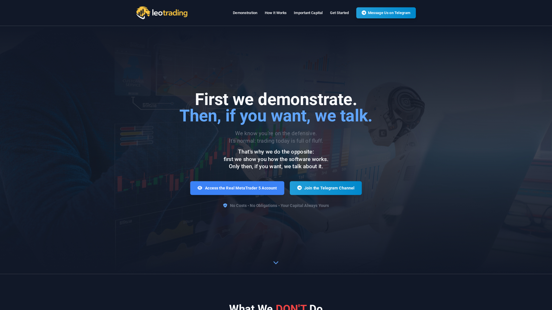 Screenshot of leonardosoftwaretrading.com