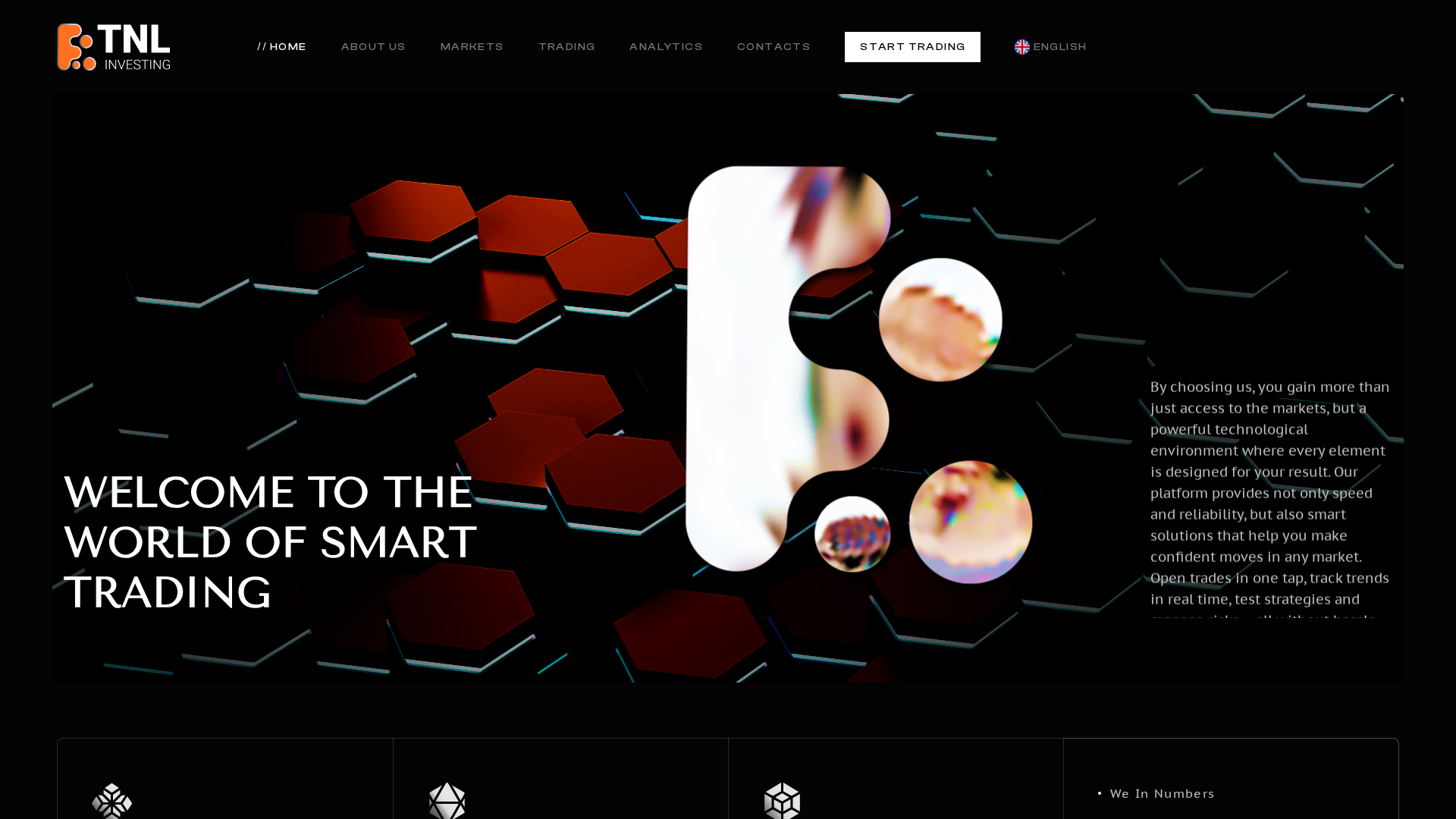Screenshot of tnlinvesting.co
