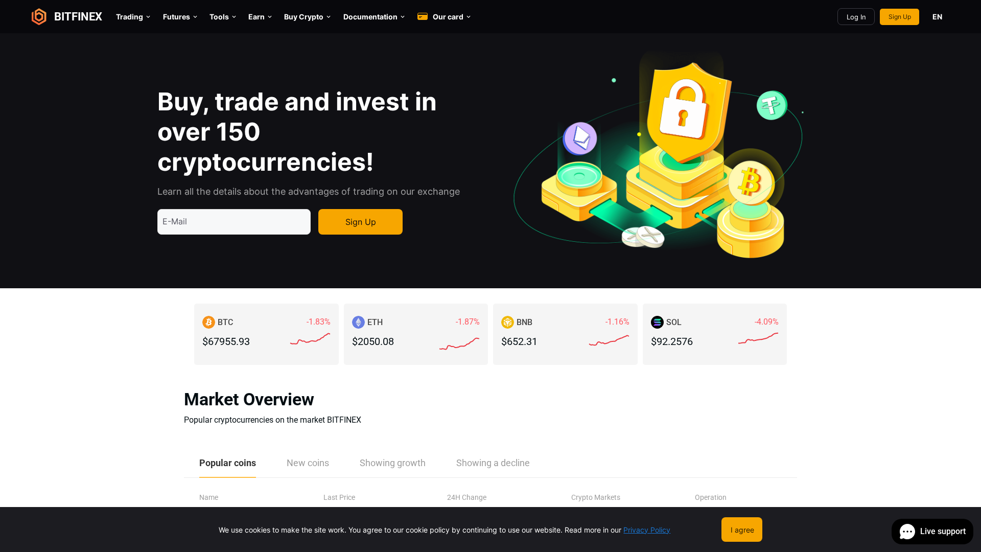 Screenshot of bltfinex.pro