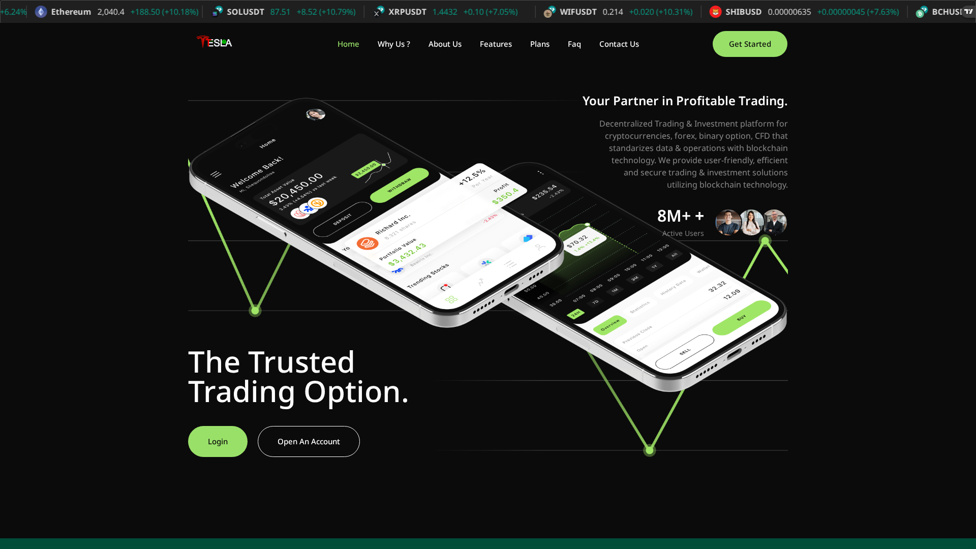 Screenshot of tslstockearn.com