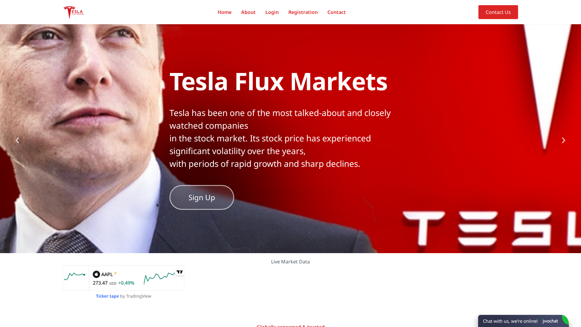 Screenshot of teslafluxmarkets.top