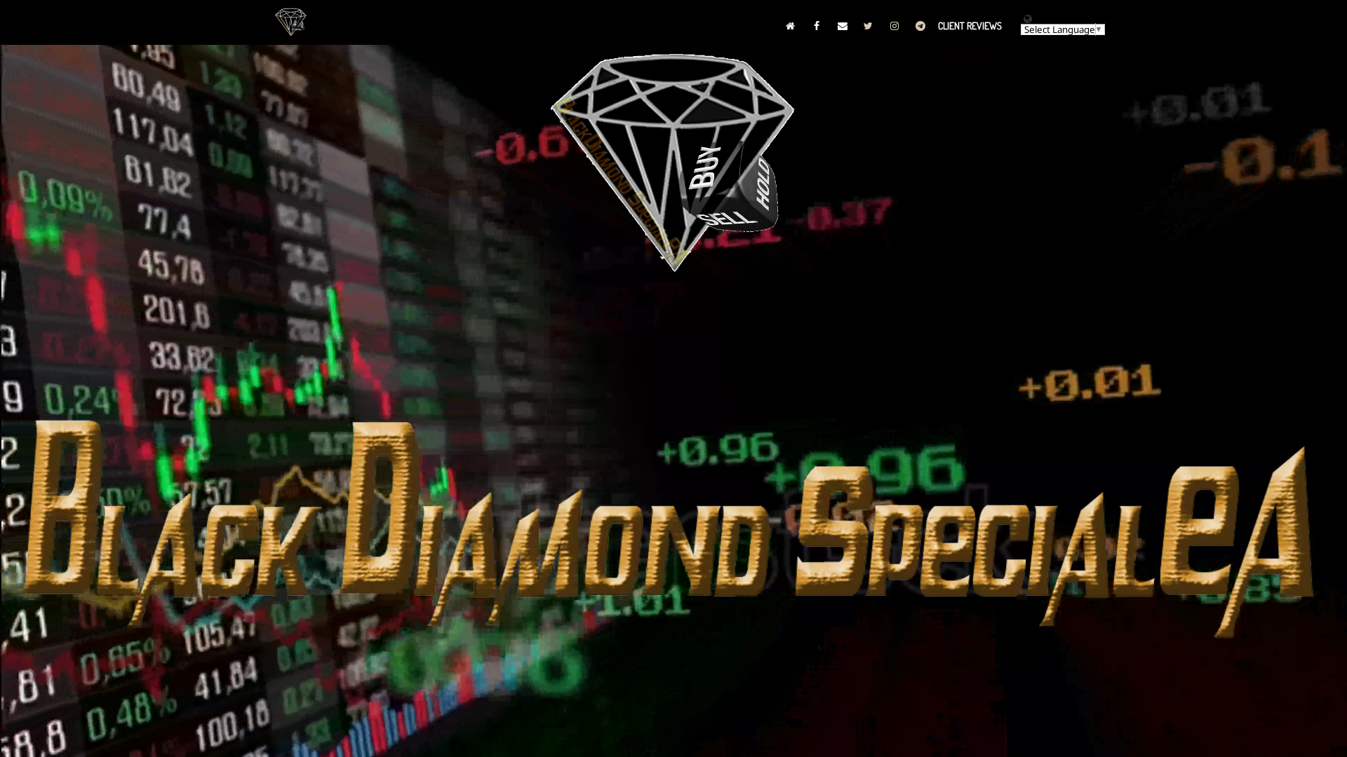 Screenshot of blackdiamondea.info