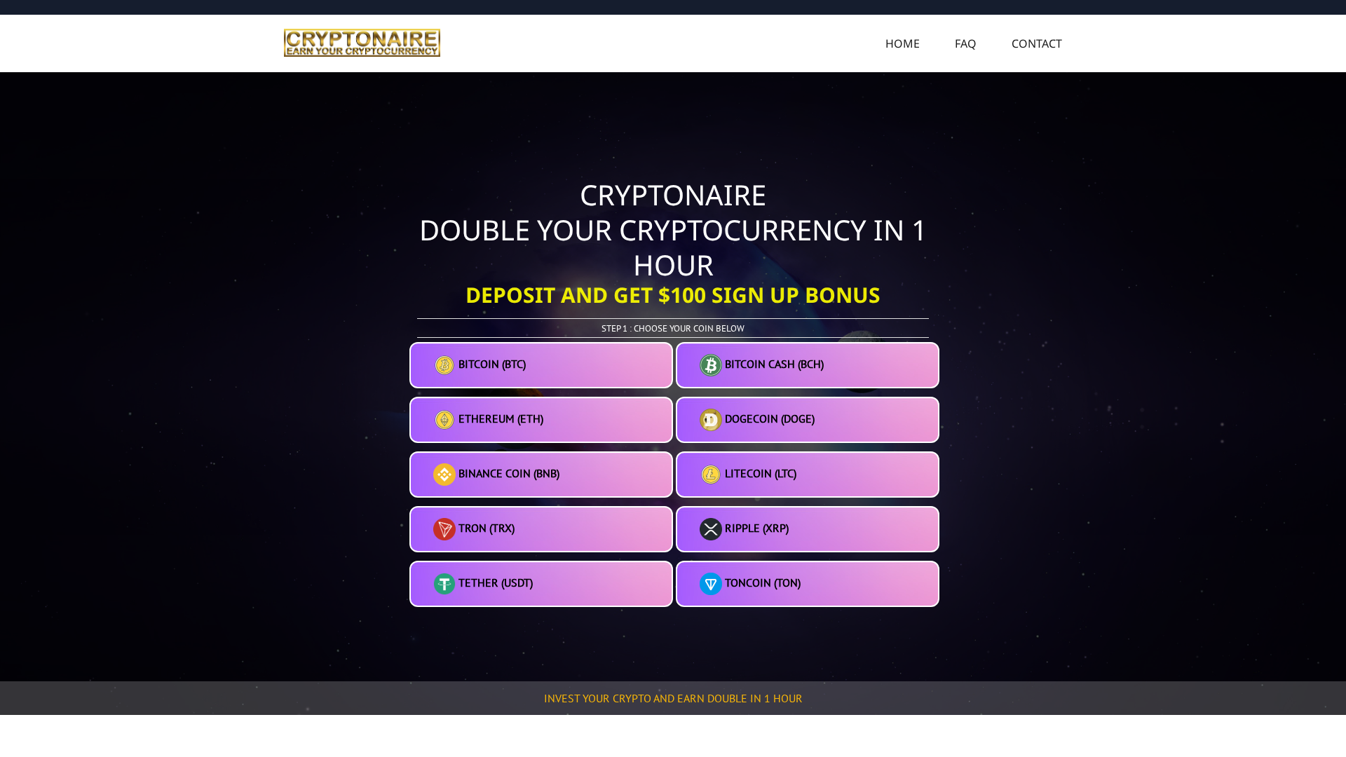 Screenshot of cryptonaire.pro