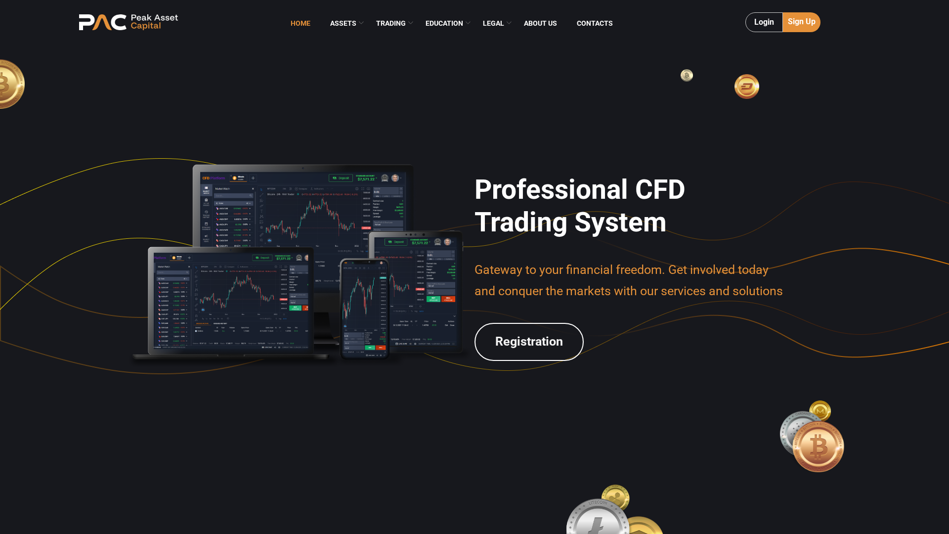 Screenshot of pac-fund.com