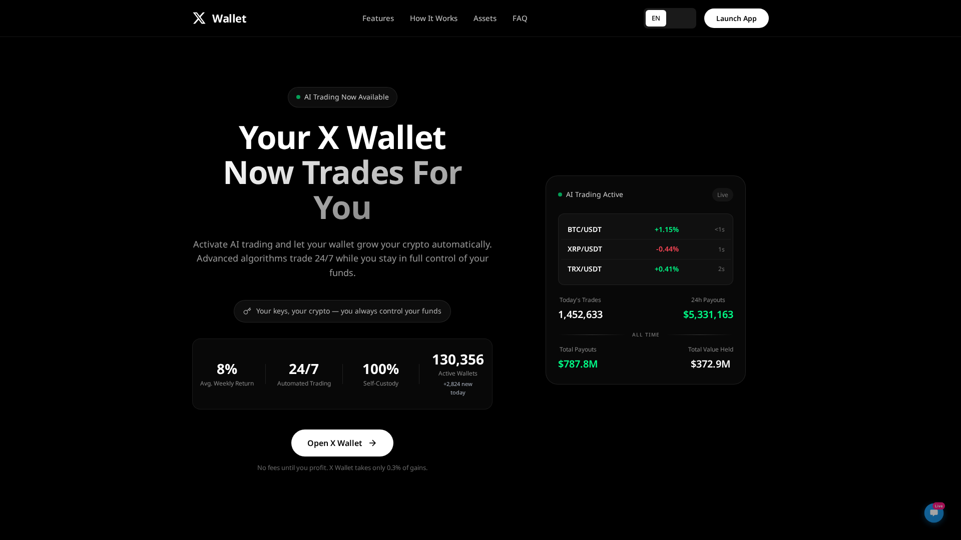 Screenshot of pay-xai.com