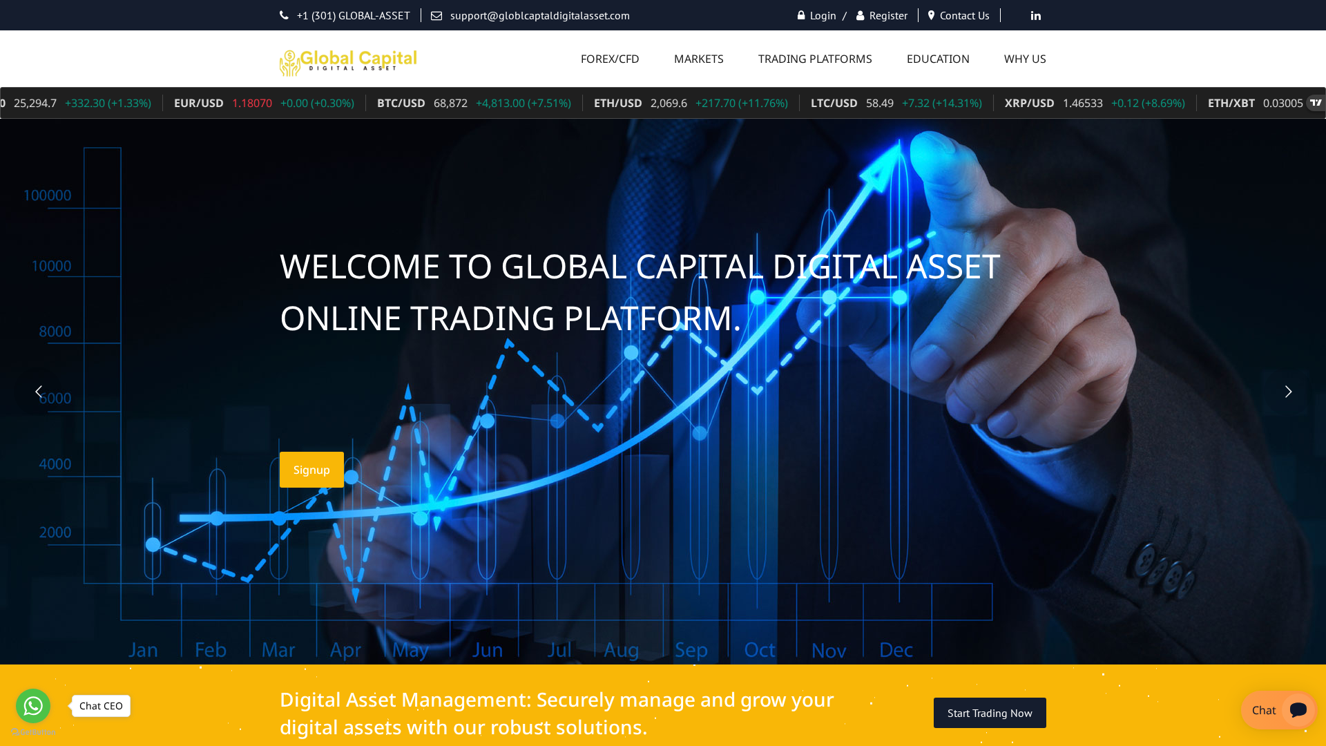 Screenshot of globlcaptaldigitalasset.com