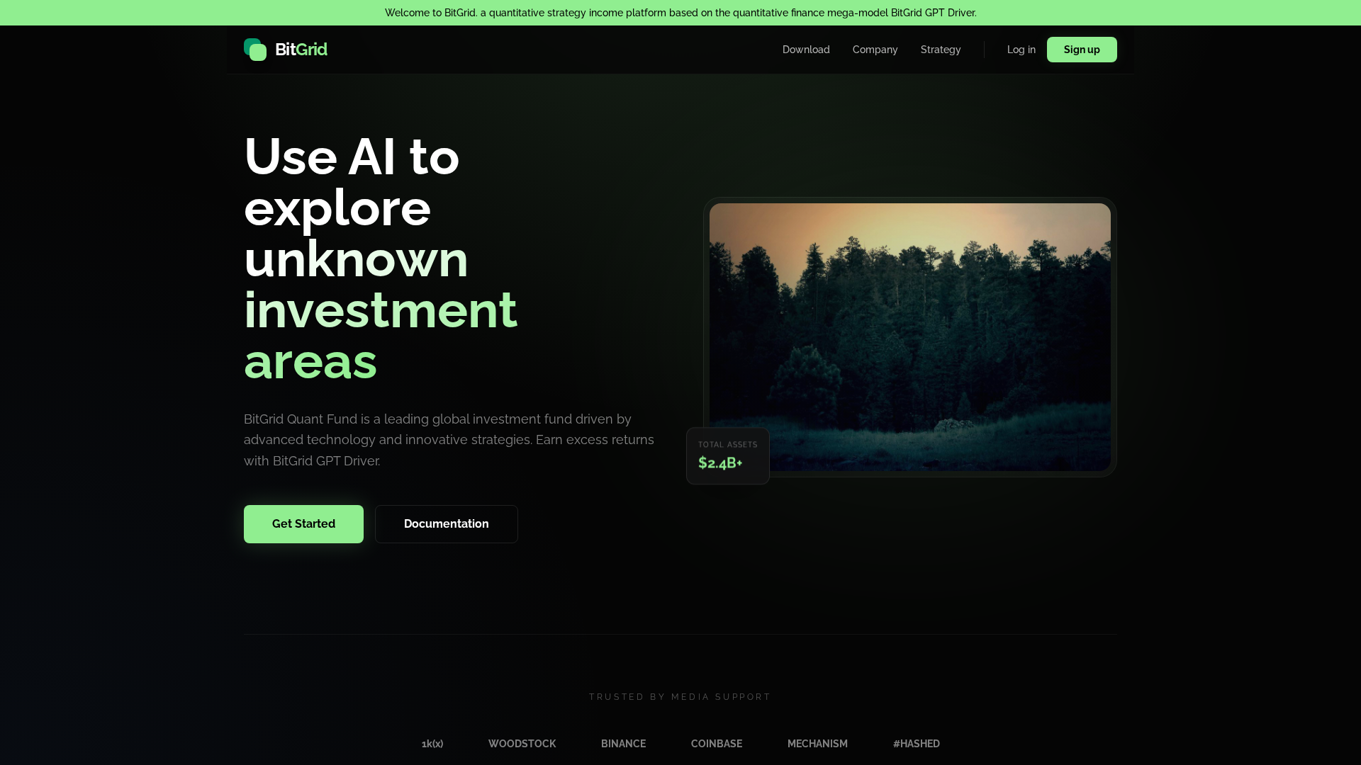 Screenshot of bitgrids.cloud